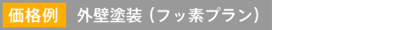 価格例 外壁塗装（フッ素プラン）