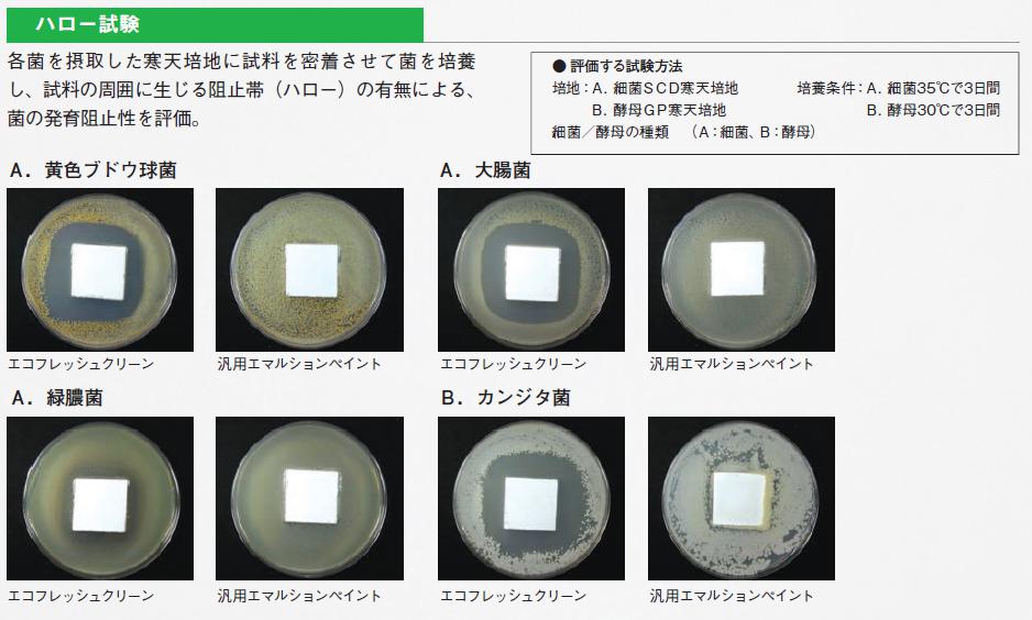 ハロー試験25