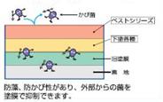 防藻