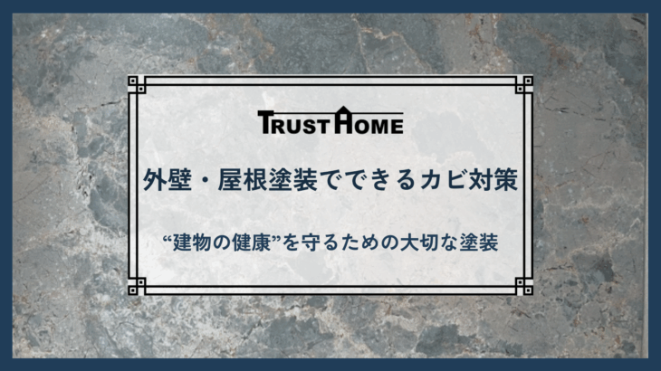 外壁・屋根塗装カビ対策