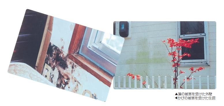 バイオタイトの紹介｜福岡で塗装ならトラストホーム