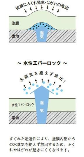 水性艶消塗料水性エバーロックご紹介｜福岡で塗装ならトラストホーム
