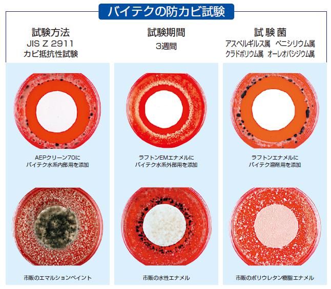 バイテクかび08