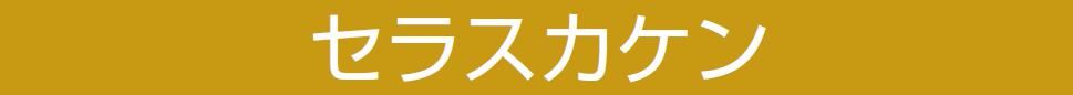 【セラスカケン】のご紹介｜福岡の外壁塗装専門トラストホーム
