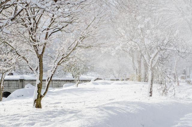 外壁塗装に適さない気候条件とは？｜福岡で塗装ならトラストホーム