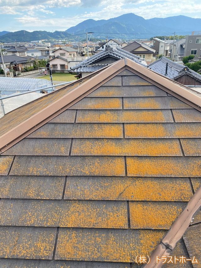 藻やカビが発生したスレート屋根の屋根塗装【現場ブログ】